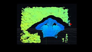 3D Scanning and Mesh Optimization