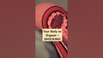 What happens during orgasm