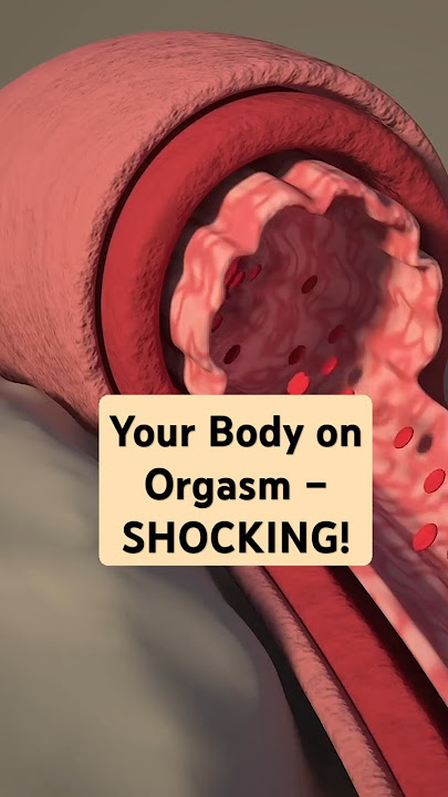 What happens during orgasm