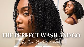 My One Product Wash and Go Routine, How To Get the Most Defined Wash and Go Using Only One Product