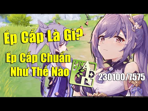 Video [Genshin Impact] Ép Cấp Là Gì?? Cách Ép Cấp Chuẩn... - youtube