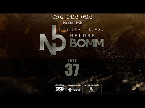 LOTE 37   JAX 6328 KAT 7617 EDTO 5144 TUL 5175 TUL 5171 BOMM 157 BOMM 142 VIS 4753 BOMM 152 TUL 5164