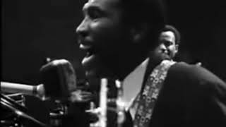 Magic Sam - All Your Love and Lookin' Good (Live Hd)