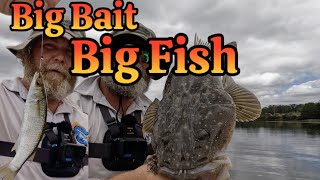 How to Catch BIG Flathead on Live Baits. Net Worth