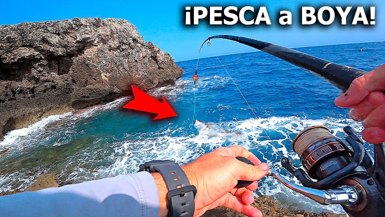[ PESCA A BOYA ] Hoy el cebo que mejor fue, no era el pan... ¡A esto le PICABAN MUCHÍSIMO!