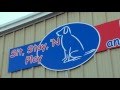 Sit, Stay, 'N Play | Dog Trainer in Stroudsburg, PA Sit, Stay, 'N Play | Dog Trainer in Stroudsburg, PA