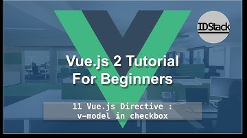 Vue.js 2 For Beginners - 11 Vue.js Directive   v model in checkbox