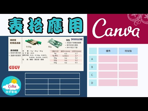 Canva|快速畫表格 線條示範操作
