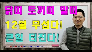 닭띠, 토끼띠, 말띠, 12월 깜짝 놀랄 일 터진다!!  #사주팔자 #명리학 #운세 #작명