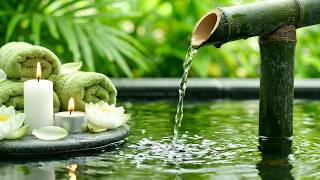 Restful Piano Music and Bamboo Water Sounds in Spring Bamboo Sanctuary 💧 for Evening Relaxation screenshot 1
