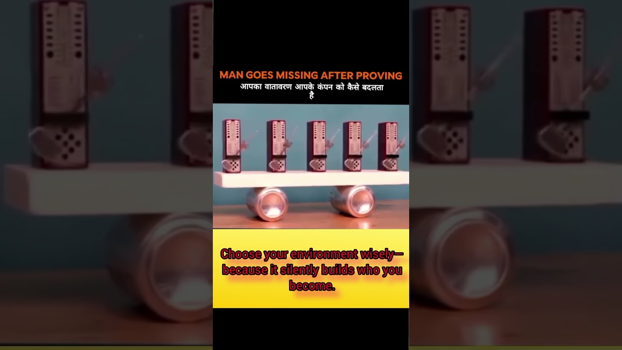 How environment effects human behaviour // how environment effects us.