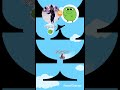 マエスケvs夜の踊り子