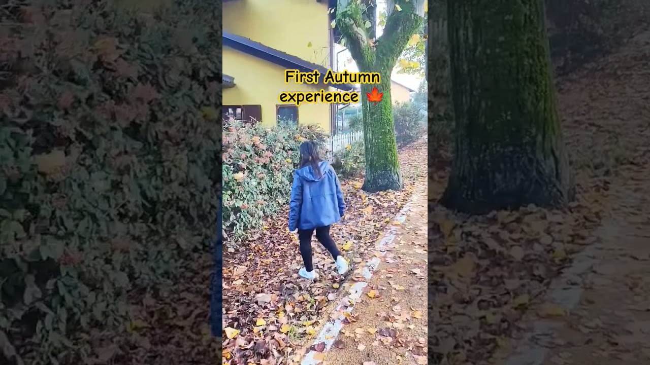 Autumn experience 🍁 