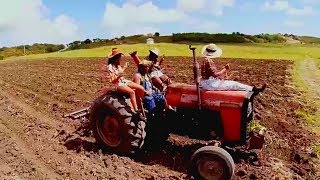 Fertilizer