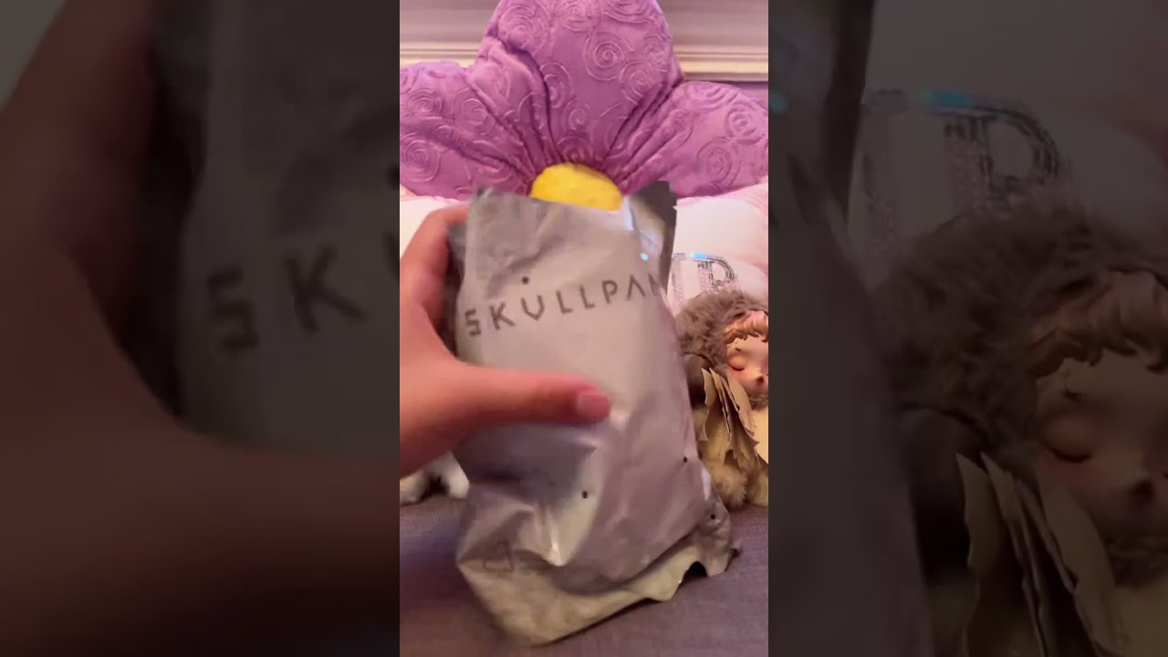 Unboxing a Skullpanda 