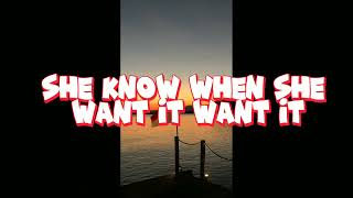 Download Lagu OSKI - STAY THE NIGHT [LYRIC] MP3