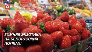 Белорусская клубника зимой! Как выращивают и сколько стоит? | Самая большая теплица