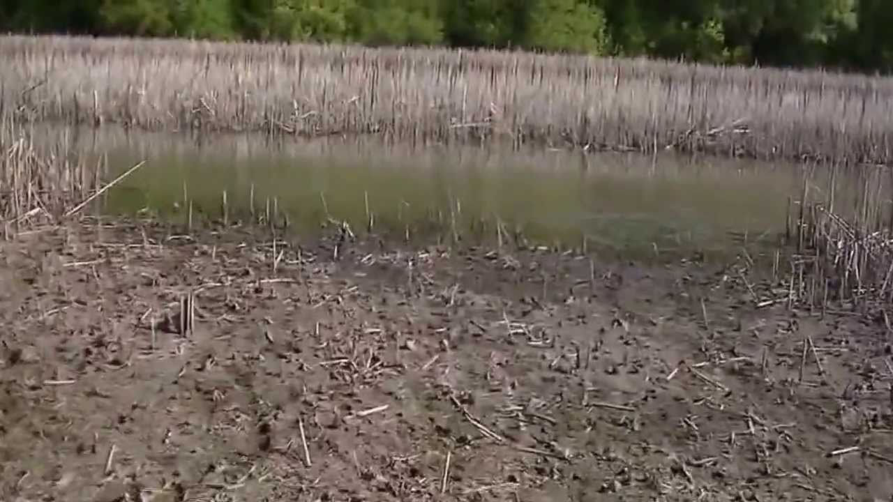 там де Ятрань круто вилась