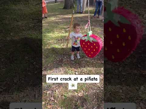 Toddler takes his
