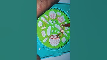 Simple Spirograph design Satisfying ASMR Video #shorts #ytshorts #shortsvideo