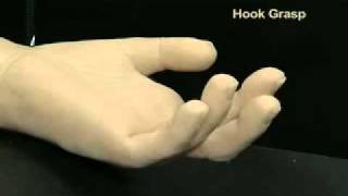 c DARPAs Bionic Arm