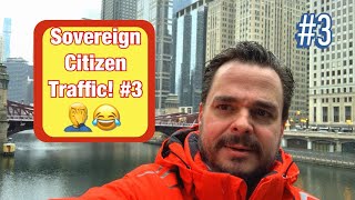 Sovereign Citizens Traffic Stop #3 Profile