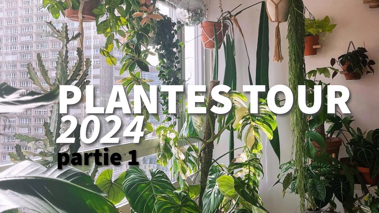 Plantes tour 2024 •  mes +130 plantes ! - Part. 1