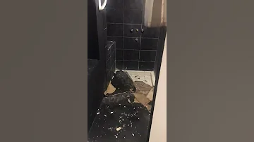 Amanecer Accidentado En Baño Compartido De Hostel En Buenos Aires 