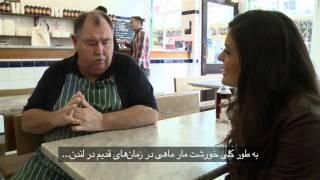 Manoto Tv Jellied Eels دنیل و خوراک مارماهی