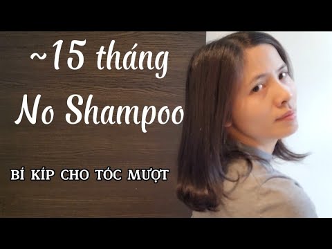 Video: 6 cách để lồng tập thể dục cho chó của bạn