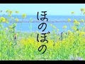 勉強用、集中用BGM！！リラックスBGM！！優しい曲でリフレッシュ！！お休み前にも！！