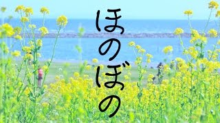 勉強用、集中用BGMリラックスBGM優しい曲でリフレッシュお休み前にも