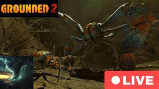 Base building and fighting axl and lizard farming GROUNDED 2 LIVE)