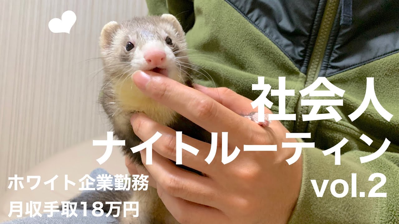 確認ページ♡猫ちゃん4匹♡フェレット10匹 YouTube