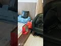 RS VIP Taiwan sehari 6000 Nt (3 jt+)#trending #fypviral#hospital #tkwtaiwan #shorts #zhongli #taiwan