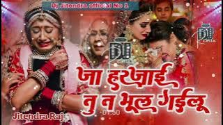 जा हरजाई तू त भूल गईलू  Dj sad song mix 2025 Bhool Gayilu Balamia Ke Paayi Ke Dj Remix Sad songs