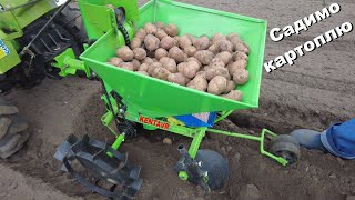 Planting potatoes with a walk-behind tractor and a Kentavr planter