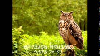 英語の失恋の名言
