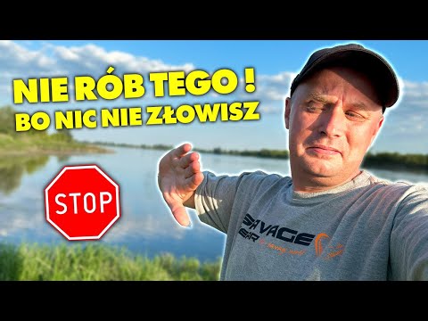 Wideo: Jak ratować delfiny (ze zdjęciami)