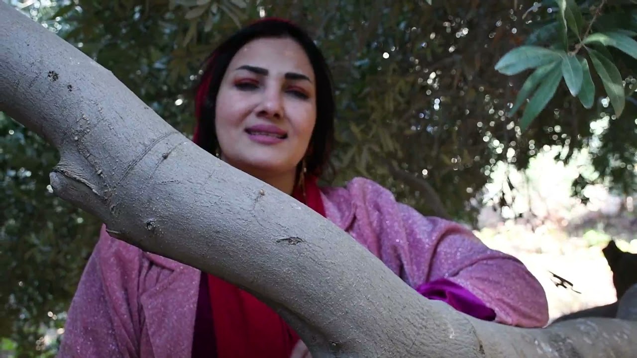 علي جمال الأغا # برنامج دنك ورنك ئافى ئه زا غناء غازي باجلان وشيماء ذاكر 2022