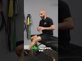 HAMSTRING STRAINS! #shorts #hamstrings #hamstringinjury  #workout #physiotherapy #hipmobility