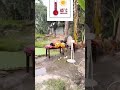 विदर्भातील सध्याची परिस्थिती 😅🤣,##shortsvideo ,#youtubshorts, likes. #comedy