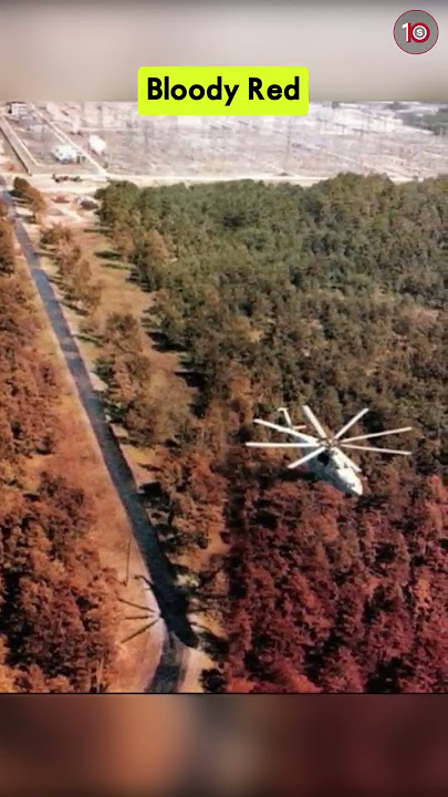 The Creepiest Things Found At Pripyat And Chernobyl  - Part 7 #shorts