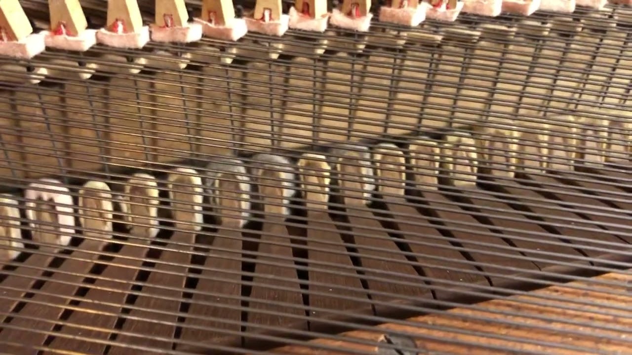 1838 Broadwood Square Piano: More about the hammers