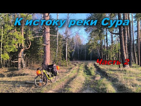 To the source of the Sura River by bicycle. 2025. Part 2.
