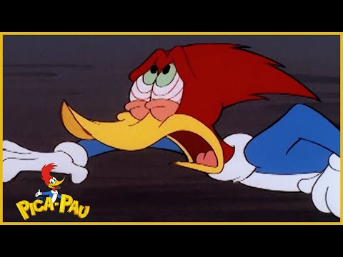 Pica Pau em Português | Pica Pau Automático | Compilação De 1 Hora | Desenhos Animados