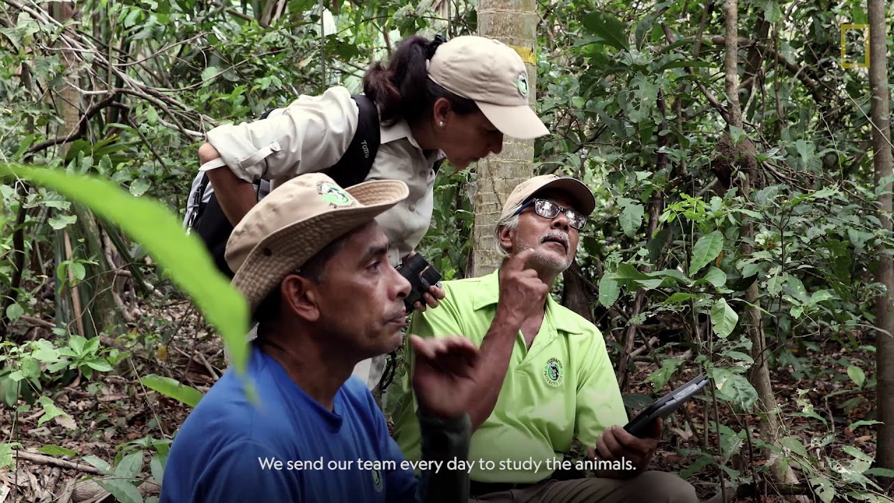 Explorers at Work Rosamira Guillen YouTube