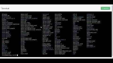 DirectAdmin Terminal Plugin