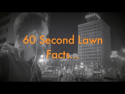 60 Second Lawn