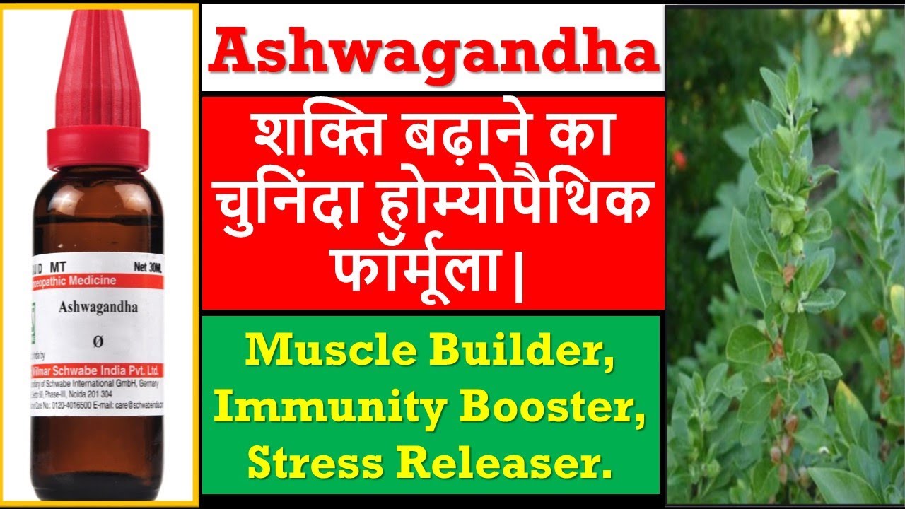 Ashwagandha ke fayde Ashwagandha homeopathic medicine Ashwagandha